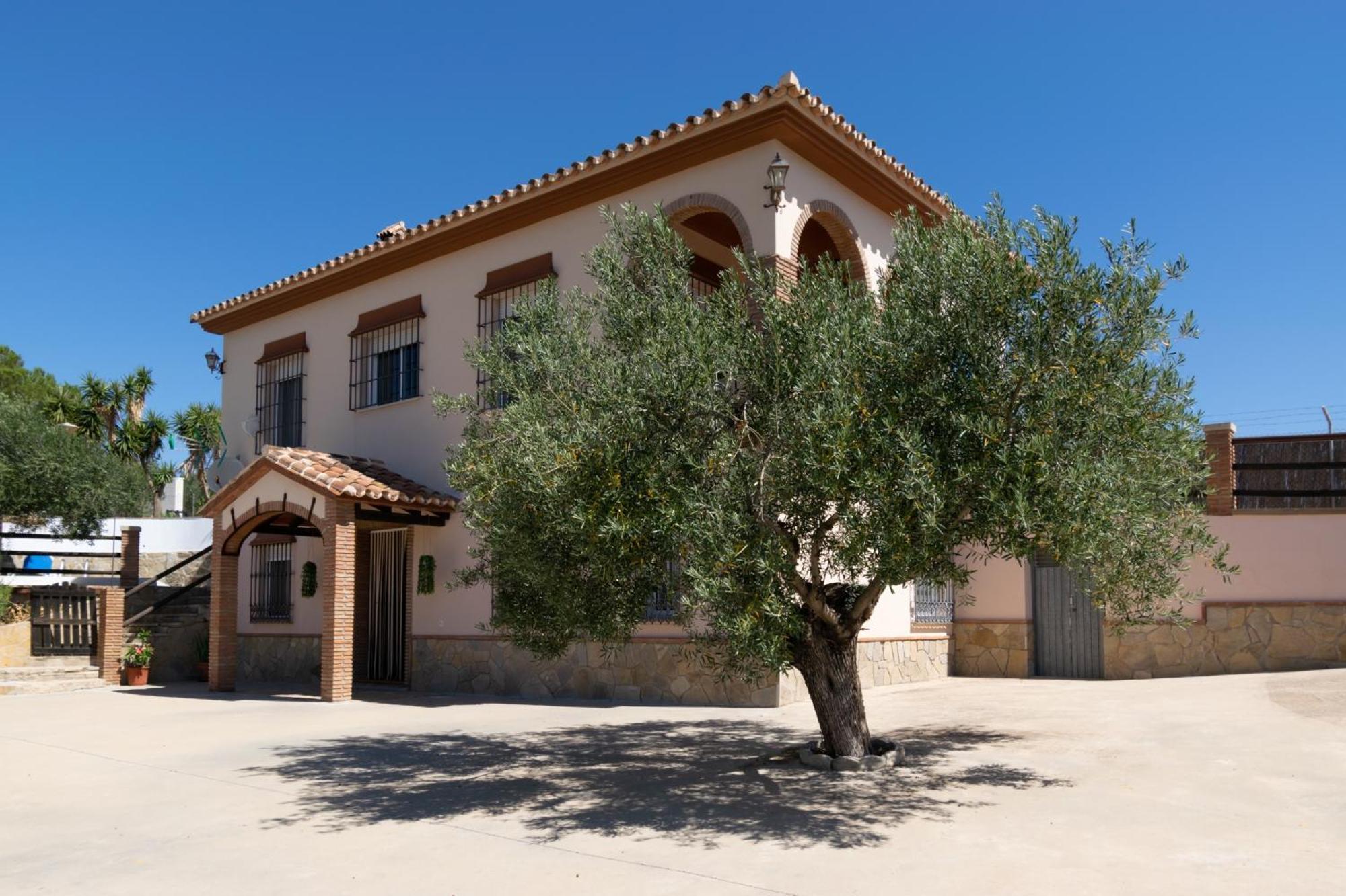 Casa Los Olivos Alora - Caminito Del Rey Zewnętrze zdjęcie