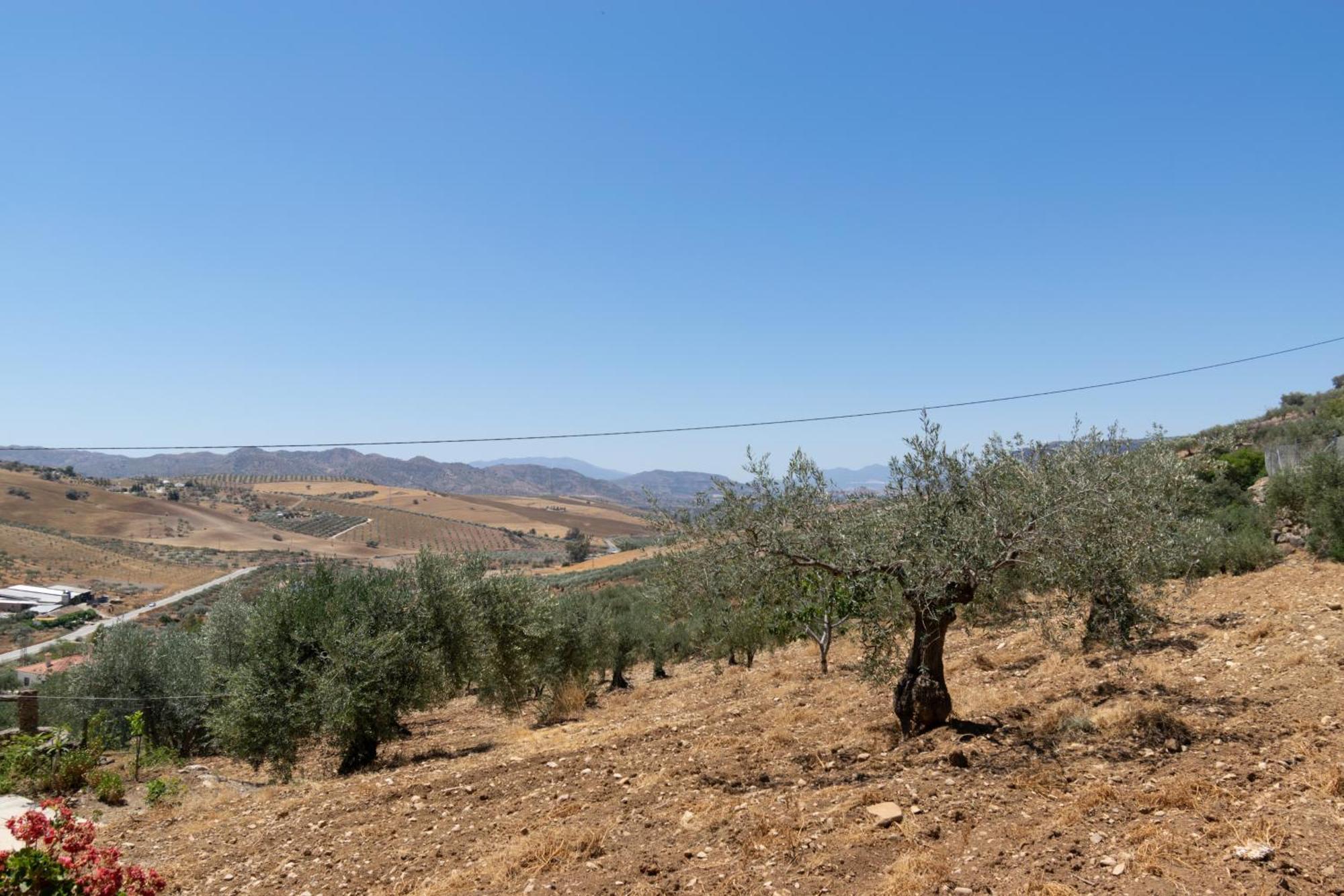 Casa Los Olivos Alora - Caminito Del Rey Zewnętrze zdjęcie